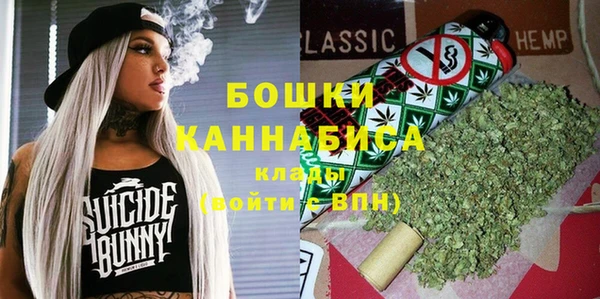 твердый Дмитров