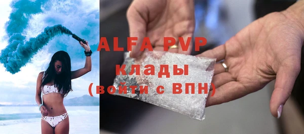 твердый Дмитров