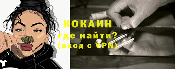 соль ск Дмитриев