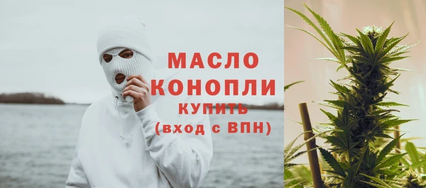 соль ск Дмитриев