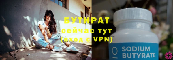соль ск Дмитриев