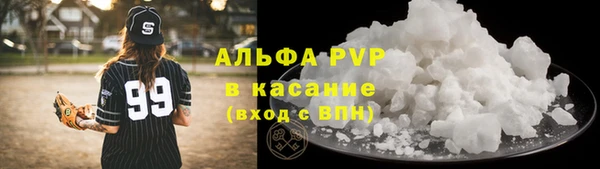 PSILOCYBIN Ладушкин