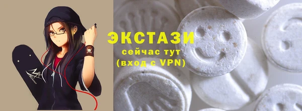 соль ск Дмитриев