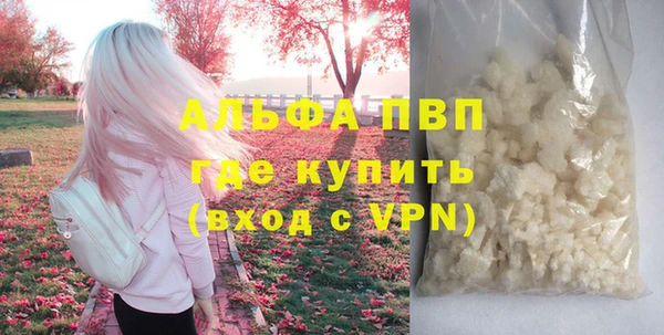 соль ск Дмитриев
