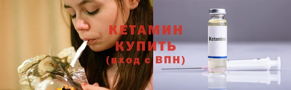 соль ск Дмитриев