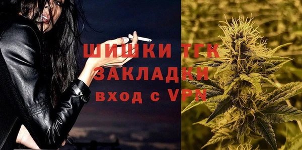 соль ск Дмитриев