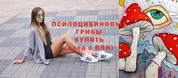 соль ск Дмитриев