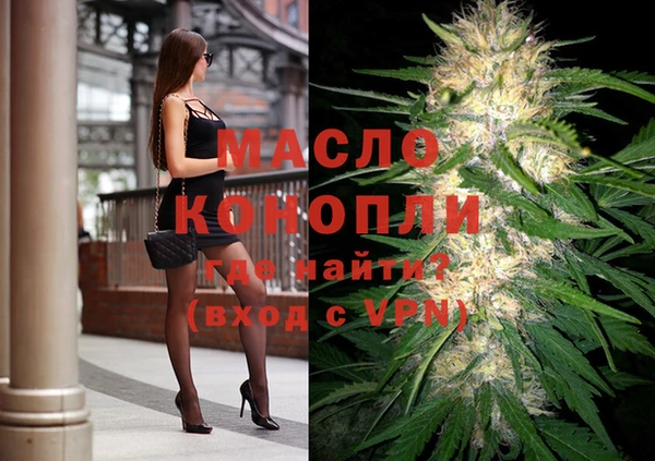 соль ск Дмитриев