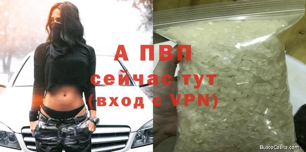 соль ск Дмитриев