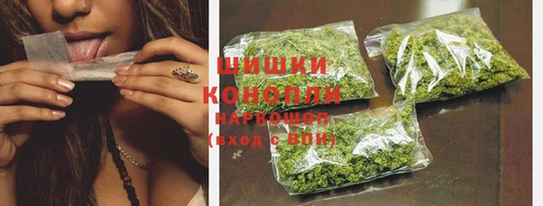 твердый Дмитров